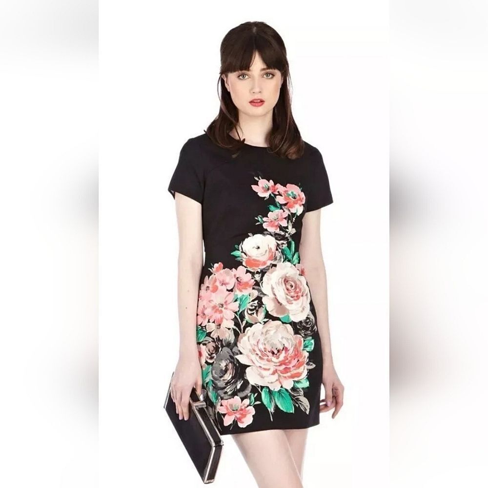 Oasis sheath Dress With Floral Design Sz 4